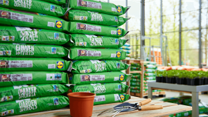 Terreau Lidl en 2026 : guide comparatif, qualité et prix pour bien choisir