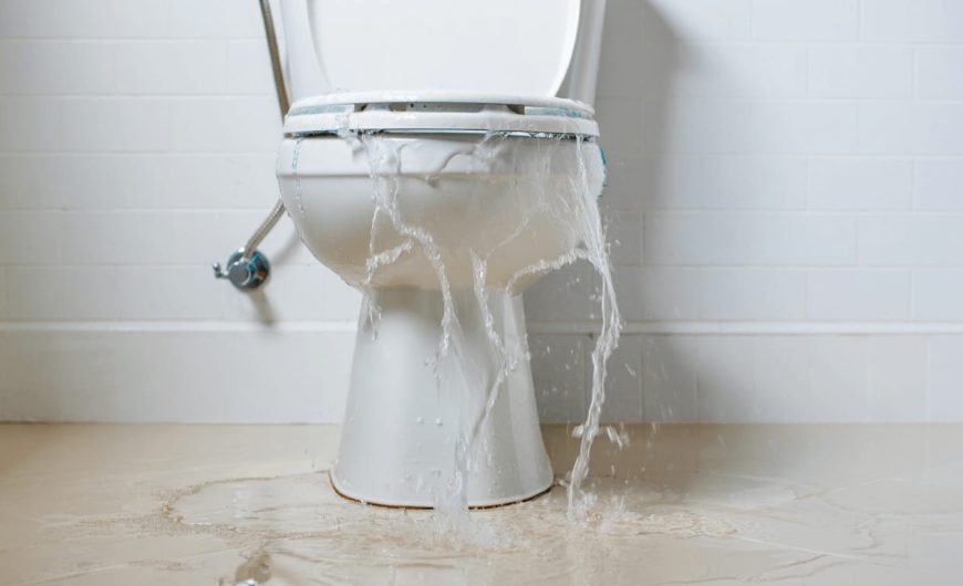 Sept astuces efficaces pour déboucher des wc sans ventouse