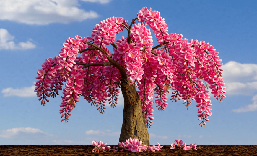 Arbre de Judée : 5 inconvénients pratiques à connaître avant de planter