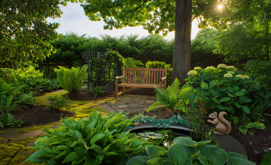 Comment aménager et embellir un jardin exposé au nord ?