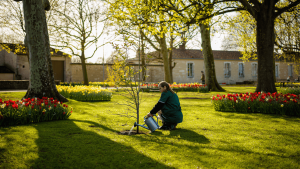 Entretien des espaces verts à Poitiers : calendrier des interventions saisonnières