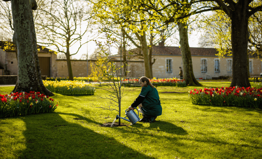 Entretien des espaces verts à Poitiers : calendrier des interventions saisonnières