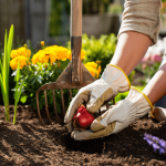 Comment équilibrer couleurs, hauteurs et textures dans votre jardin ?