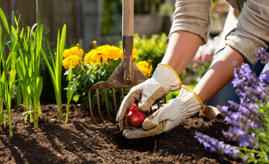 Comment équilibrer couleurs, hauteurs et textures dans votre jardin ?