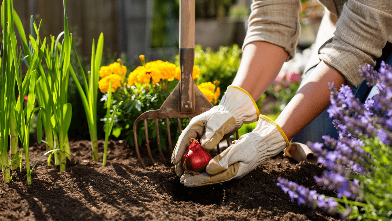 Comment équilibrer couleurs, hauteurs et textures dans votre jardin ?