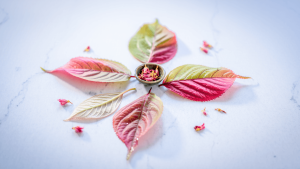 Cinq usages méconnus des feuilles de cerisier pour la cuisine, le jardin et la peau