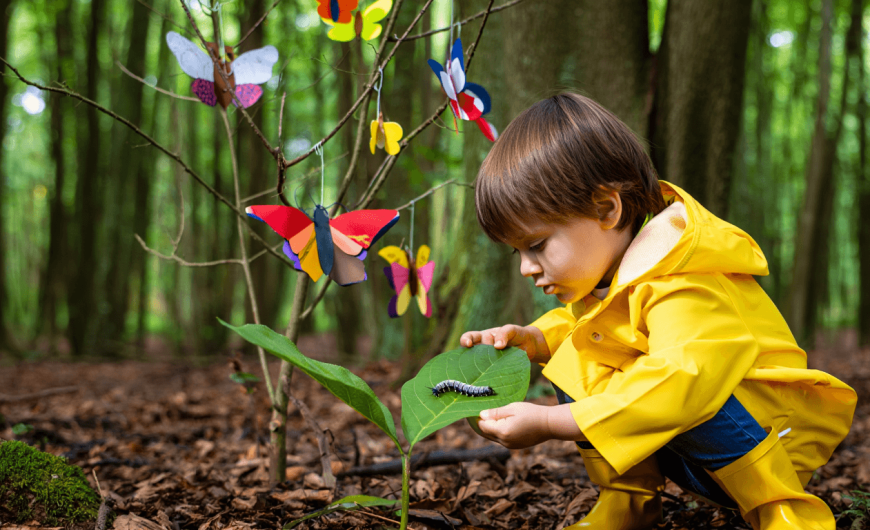 Idées d&rsquo;activités manuelles et jeux sur le thème de la forêt : 50 propositions pour enfants