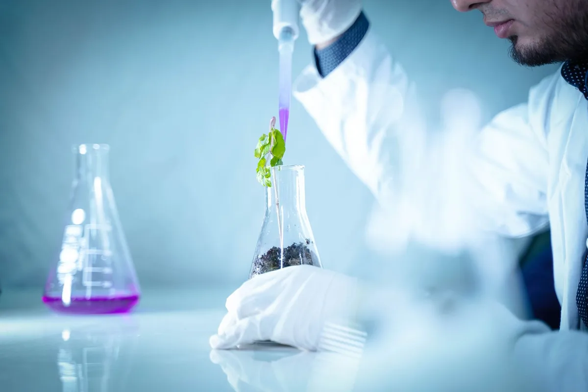 Test de pH du sol pour vérifier l'acidité et l'équilibre du substrat