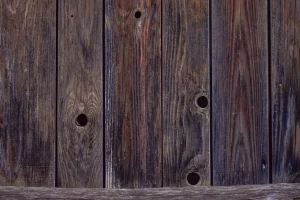 Comment reconnaître les signes d’un ouvrage en bois infesté par des nuisibles ?