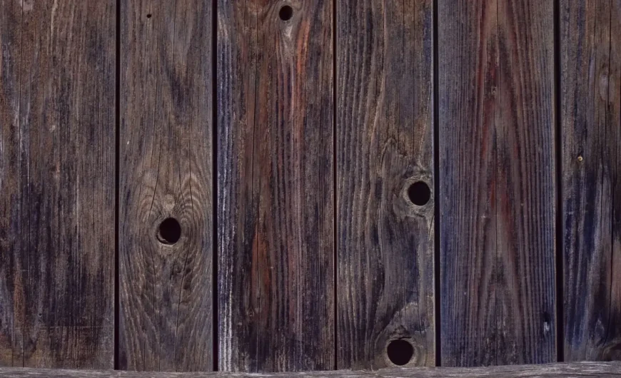 Comment reconnaître les signes d’un ouvrage en bois infesté par des nuisibles ?