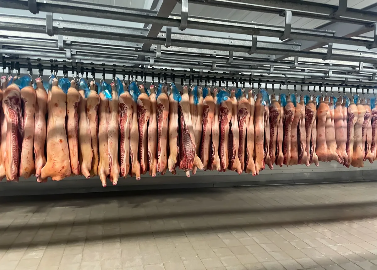 Viande et poisson crus rangés dans des boîtes étanches au fond du réfrigérateur