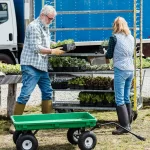Réussir ses salades au potager : calendrier, météo et techniques faciles