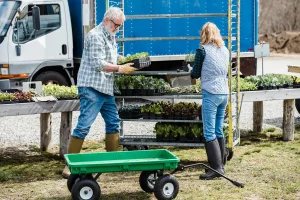 Réussir ses salades au potager : calendrier, météo et techniques faciles