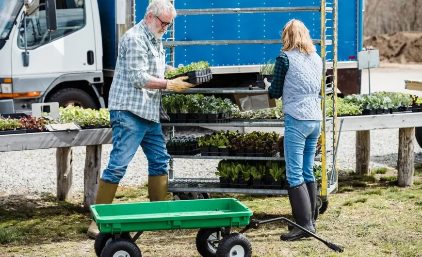 Réussir ses salades au potager : calendrier, météo et techniques faciles