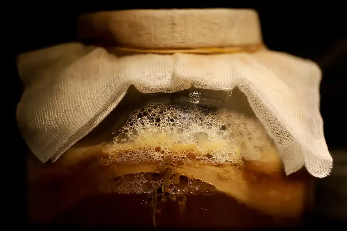 Récipient en verre contenant du purin d'ortie en fermentation avec des bulles visibles