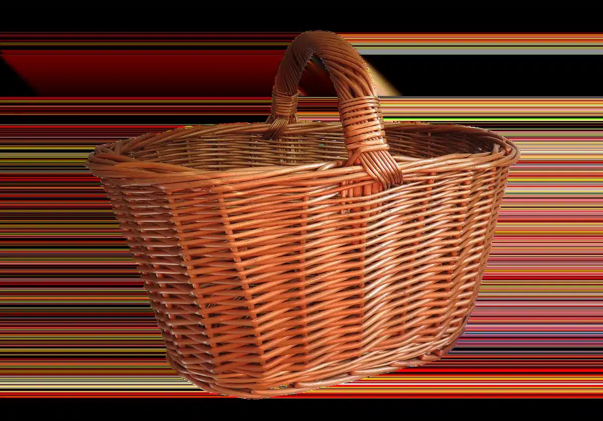 Écran d'ordinateur montrant une page d'abonnement et un panier de légumes à côté