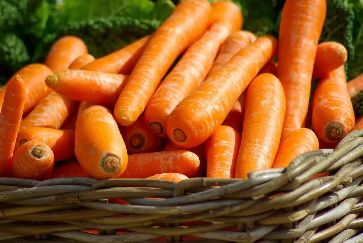 Panier rempli de légumes de saison variés